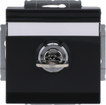 Labelling field 60 x 9 mm.   With evenly engaging lock.   Delivery includes 2 keys.   With screwless terminals. DP (2 P + E)   Shuttered. 2CKA002018A1558 | 4011395225943