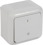 Double pole switch Forix - surface mounting - 10 AX - 250 V - grey 782386 | 3245067823866