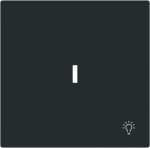 With >Light< icon. As cover for flush-mounted 1gang 1way, 1gang 2way switch, intermediate switch, push-button and control switch 1gang 2way. 2CKA001751A3376 | 4011395320396