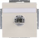 Labelling field 60 x 9 mm.   With different lock mechanism.   Delivery includes 2 keys.   With screwless terminals. DP (2 P + E)   Shuttered. 2CKA002018A1559 | 4011395225950