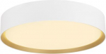 Ceiling-/wall luminaire 1008579 | 4024163298209