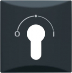 As cover for flush-mounted key switch.   Semi-cylindrical lock not included in delivery.   With sealing ring.   IP 44 only in conjunction with styling frames All Weather 44 and the appropriate semi-cylindrical lock. 2CKA001710A1902 | 4011395874509