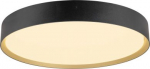 Ceiling-/wall luminaire 1008584 | 4024163298155