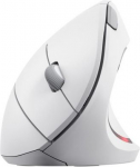 MOUSE USB OPTICAL WRL VERTO/ERGONOMIC WHITE 25132 TRUST 25132 | 8713439251326