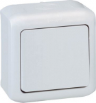 One-way switch Forix - surface mounting - 10 AX - 250 V - grey 782380 | 3245067823804