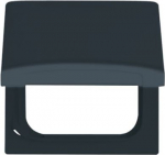 Intermediate Ring with Hinged Lid Cover plates Busch-Duro 2000&reg; SI and Reflex SI anthracite - Allwetter 44 (IP 44) 2CKA001710A1936 | 4011395875001