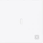 With "Plug" icon. As cover for flush-mounted switch 1g1w DP and 3pole with neon lens and marking "I O" As cover for flush-mounted 1gang 1way, 1gang 2way switch, intermediate switch, push-button and control switch 1gang 2way. 2CKA001751A3381 | 4011395 ...