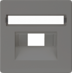 Cover plate UAE for computer outlet, carbon metallic, Delta I-System 5TG1228 | 4001869268392