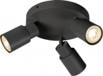 Ceiling-/wall luminaire 1008332 | 4024163293945