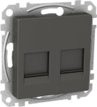 Central plate, Exxact, for 2x Keystone with dust lids, anthracite WDE003378 | 3606480649653