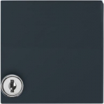 Intermediate Ring with Hinged Lid Cylinder with Different Locking Cover plates Busch-Duro 2000&reg; SI and Reflex SI anthracite - Allwetter 44 (IP 44) 2CKA001710A1977 | 4011395884102