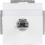 Labelling field 60 x 9 mm.   With different lock mechanism.   Delivery includes 2 keys.   With screwless terminals. DP (2 P + E)   Shuttered. 2CKA002018A1565 | 4011395226131