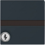 Intermediate Ring with labelling field with Hinged Lid Cylinder with Different Locking Cover plates Busch-Duro 2000&reg; SI and Reflex SI anthracite - Allwetter 44 (IP 44) 2CKA001710A1985 | 4011395875209