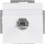 Labelling field 60 x 9 mm.   With evenly engaging lock.   Delivery includes 2 keys.   With screwless terminals. DP (2 P + E)   Shuttered. 2CKA002018A1566 | 4011395226148