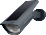 Outdoor wall luminaire ENDURA GARDEN SPOT RGBW 55lm 110lm/W 3000K IP44 Dark grey 4058075564169 | 4058075564169