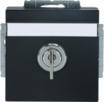 Labelling field 60 x 9 mm.   With different lock mechanism.   Delivery includes 2 keys.   With screwless terminals. DP (2 P + E)   Shuttered. 2CKA002018A1567 | 4011395226155