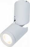 Ceiling lamp Tube LED 10W 3000K 800Lm white C019CW-01W | 4251110091884