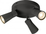 Ceiling-/wall luminaire 1008336 | 4024163293907
