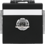 Labelling field 60 x 9 mm.   With evenly engaging lock.   Delivery includes 2 keys.   With screwless terminals. DP (2 P + E)   Shuttered. 2CKA002018A1568 | 4011395226162