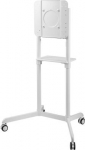 TV SET ACC FLOOR STAND/37-70" NS-M1250WHITE NEOMOUNTS NS-M1250WHITE | 8717371448073