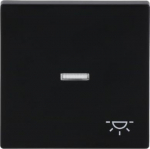 With >Light< icon. As cover for flush-mounted 1gang 1way, 1gang 2way switch, intermediate switch, push-button and control switch 1gang 2way. 2CKA001751A3045 | 4011395129821