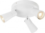 Ceiling-/wall luminaire 1008338 | 4024163293884