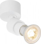 Ceiling-/wall luminaire 1008228 | 4024163294980