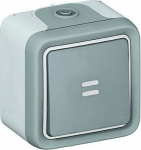 Switch Plexo IP 55 - 2-way + indicator - 10 AX - 250 V - surface mounting -grey 069712 | 3245060697129