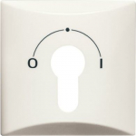 As cover for flush-mounted key switch.   Semi-cylindrical lock not included in delivery.   With sealing ring.   IP 44 only in conjunction with styling frames All Weather 44 and the appropriate semi-cylindrical lock. 2CKA001710A2249 | 4011395911600