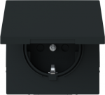 Shuttered. With screwless terminals. DP (2 P + E) with hinged lid   Protection class IP44 by adding 20 WD-4X 2CKA002018A1578 | 4011395320839