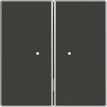 RF switch 2 channel Radio Control Black - Sky Niessen 2CLA853120A1501 | 8427238146089