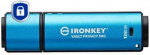 MEMORY DRIVE FLASH USB-C 128GB/IKVP50C/128GB KINGSTON IKVP50C/128GB | 740617330205