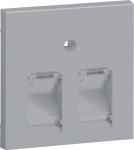 Central plate UAE TYP B/D 2-gang, for Frontplate 55, hfr, alu GZUAE2BLAN | 4012740984812