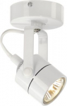 SPOT 79 Luminaire 1xQPAR51, 230V, max.50W white 132021 | 4024163103411