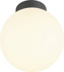 Ceiling-/wall luminaire 1008125 | 4024163292818