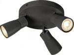 Ceiling-/wall luminaire 1008340 | 4024163293860