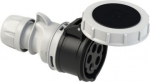 CEE connector 5x16A (3P+N+PE) 7h IP67 SHARK with cap black 2152-7 | 9003399134302