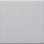 Rocker 1-gang for Switch / Button, for Frontplate 55, hfr, lightgrey GW1B7035 | 4012740983549