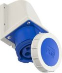 Wall socket outlet 4x32A (3P+PE) 9h IP67 blue 1242-9 | 9003399170867