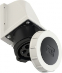 Wall mounted socket 5x32A (3P+N+PE) 7h IP67, black 1252-7 | 9003399116469