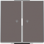 Sky Niessen ,Color: Taupe   Rocker light 2 channel 2CLA859621A6301 | 8427238237619