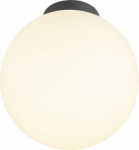 Ceiling-/wall luminaire 1008127 | 4024163292795