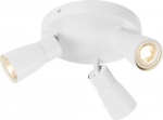 Ceiling-/wall luminaire 1008342 | 4024163293846
