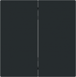 2gang rocker for Friends of Hue and Bluetooth (Casambi) smart switch inserts. 2CKA006730A0169 | 4011395342671