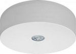 Emergency luminaire Ara S 3PLED C392 6W 780lm 165&deg; IP65 1019520 | 01019520