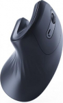 MOUSE USB OPTICAL WRL BLACK/ERGONOMIC MUSW-ERGO-03 GEMBIRD MUSW-ERGO-03 | 8716309108997