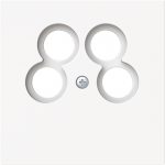 As cover for 4gang Antenna socket insert.   Outputs in a trapezoidal arrangement e.g. TV/R/SAT/SAT or TV/R/DATA/DATA or TV/R/SAT/DATA. 2CKA001724A4441 | 4011395317075