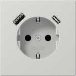 SCHUKO socket with USB type AC LS1520-15CALG | 4011377184664