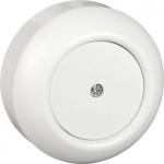 Blank plate, white, Renova WDE011160 | 3606480698101