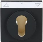 With marking. For half-cylindrical type switches and blind control switch/push-switch. For inserts 2733 USL-101 and 2712 USL-101, 2713 USL-101, 2722 USL-101, 2723 USL-101. 2CKA001710A3902 | 4011395127254